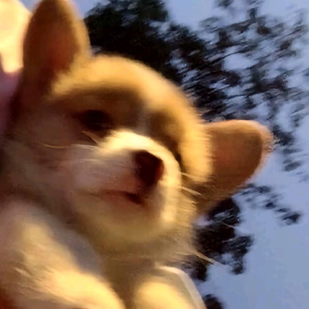 我想你啦