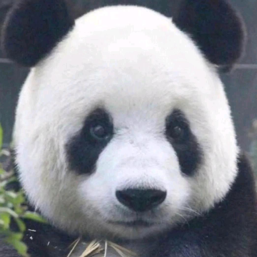 红尘紫陌
