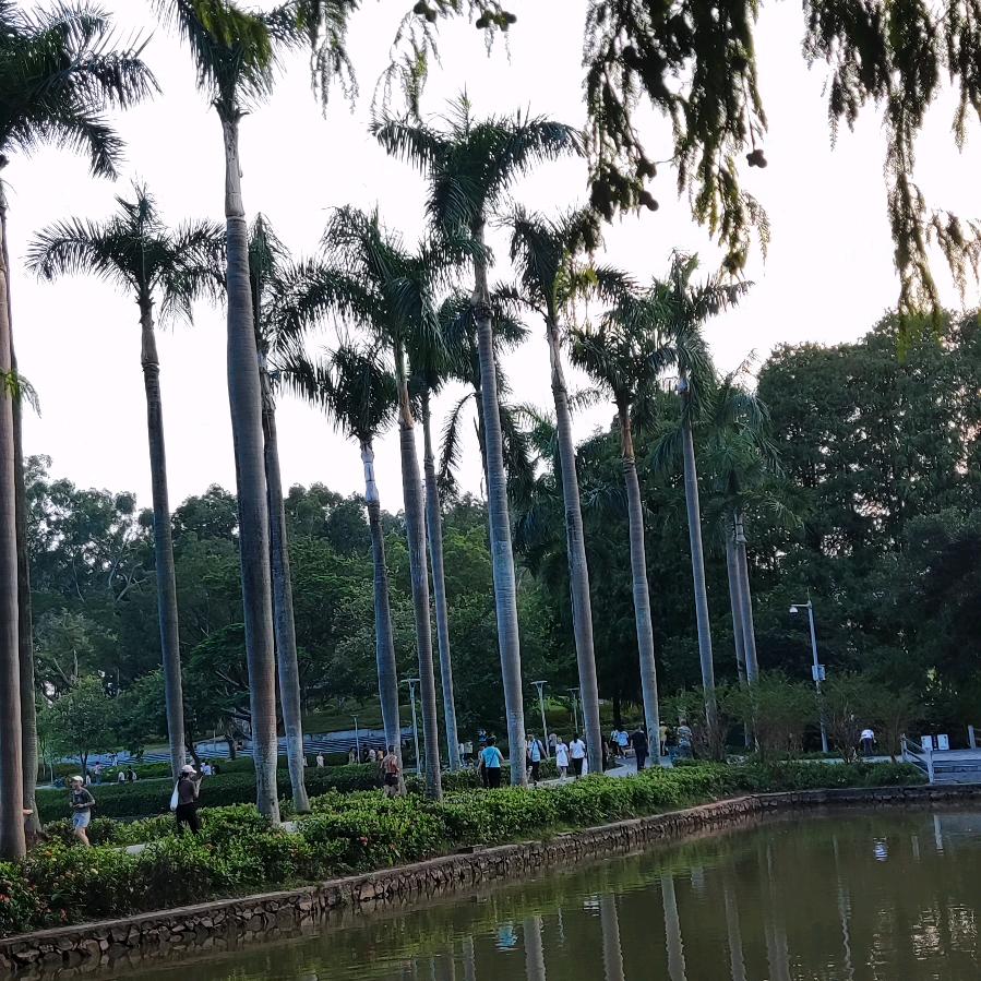 人鱼的🐟余🐟