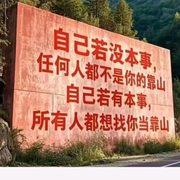 （追梦人）369