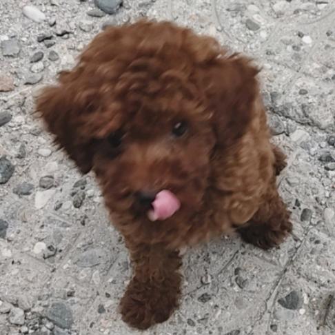 希望21世纪对我好一点。