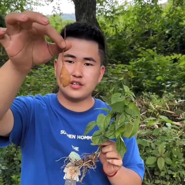 徐二哥（大嘎居）