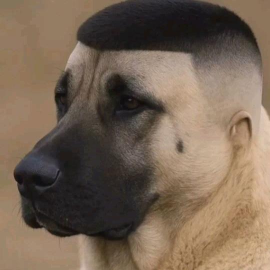 闯