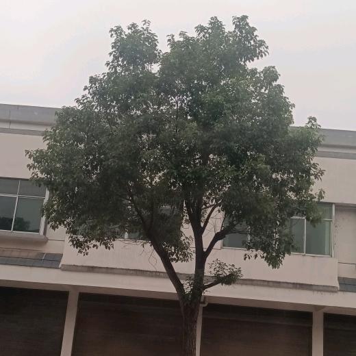 龘阅越悦己