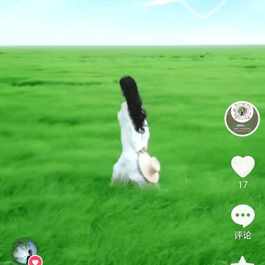 🎪🐉龙的传人🐉