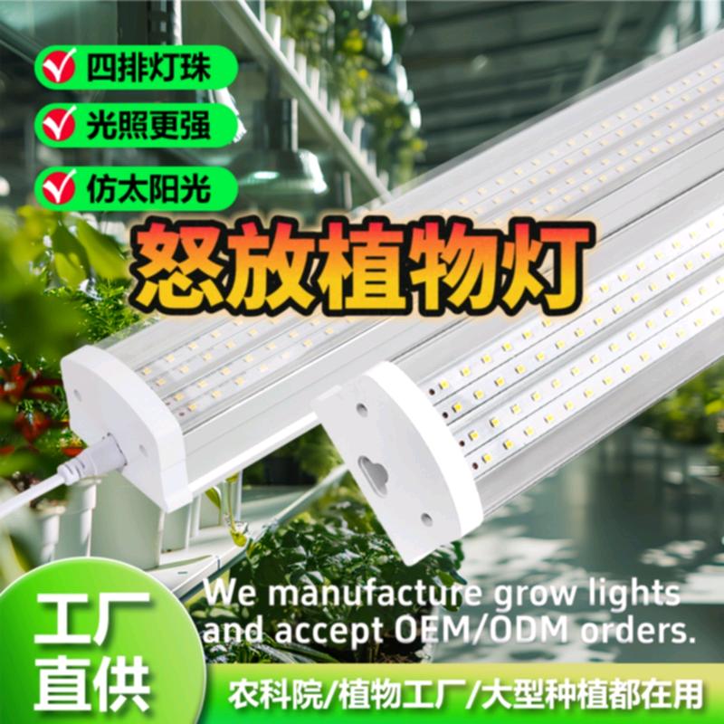 怒放植物灯