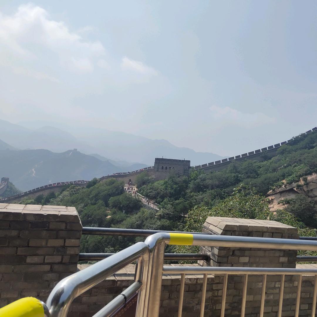 抱蔡