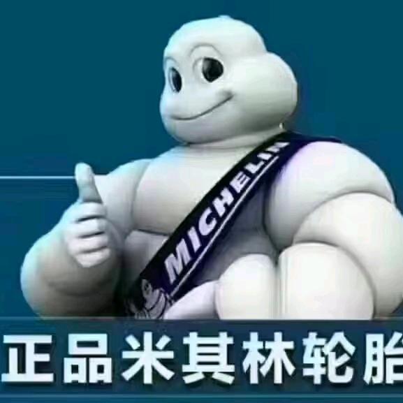 榆林米其林轮胎（迎宾大道店）