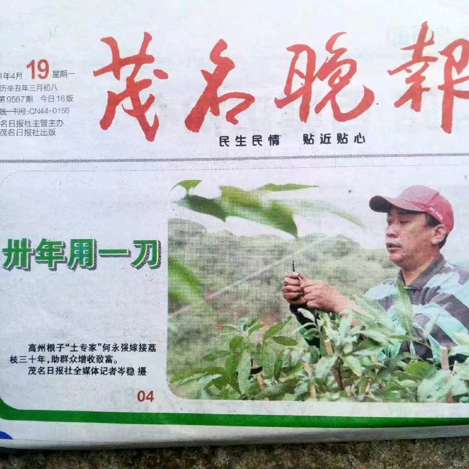 高州强哥农产品