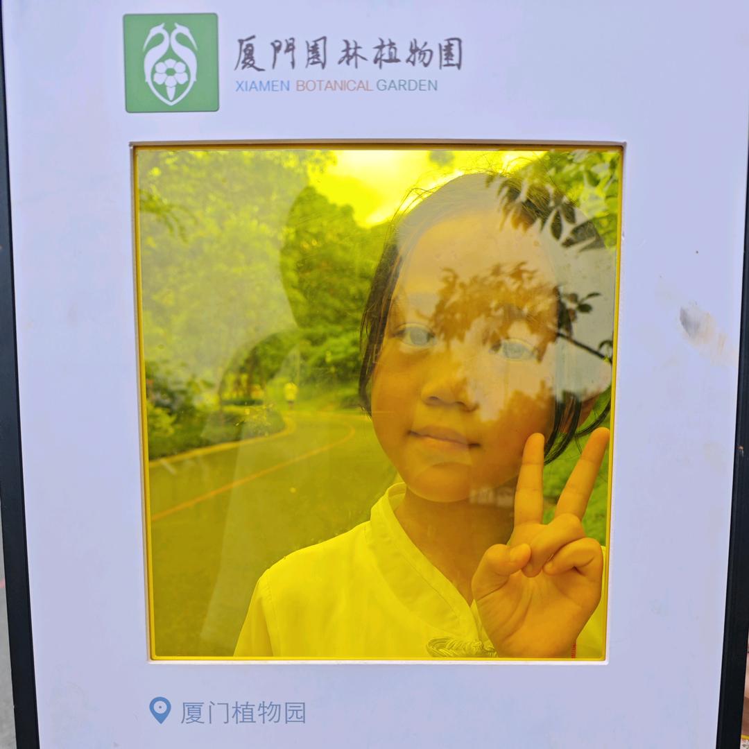 家里蹲