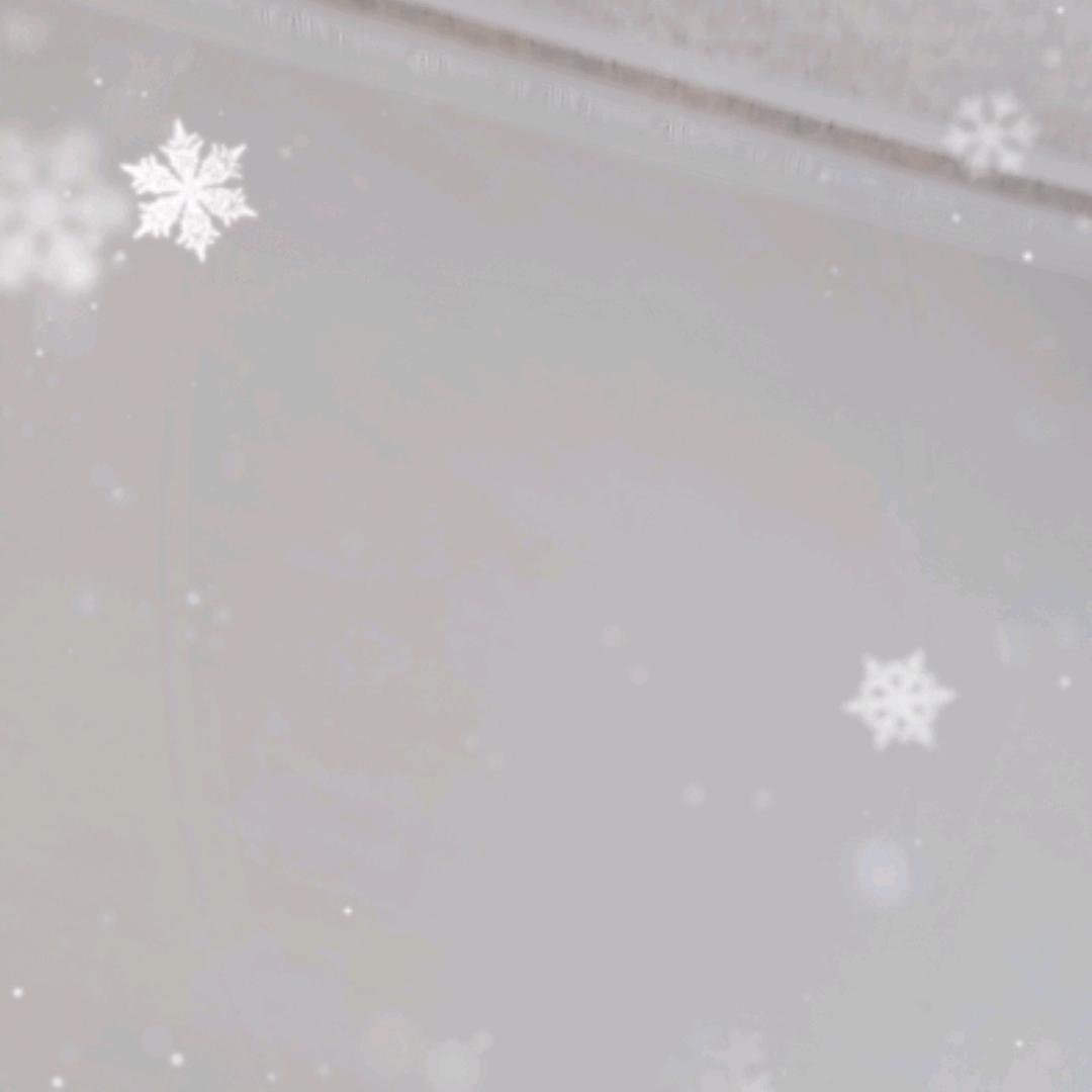 舟舟