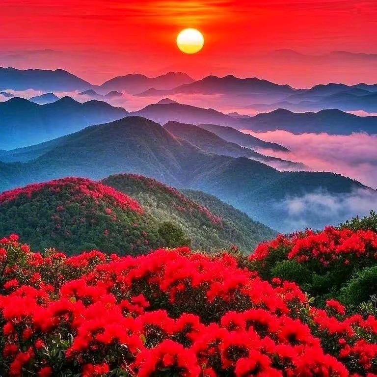 骄阳变脸