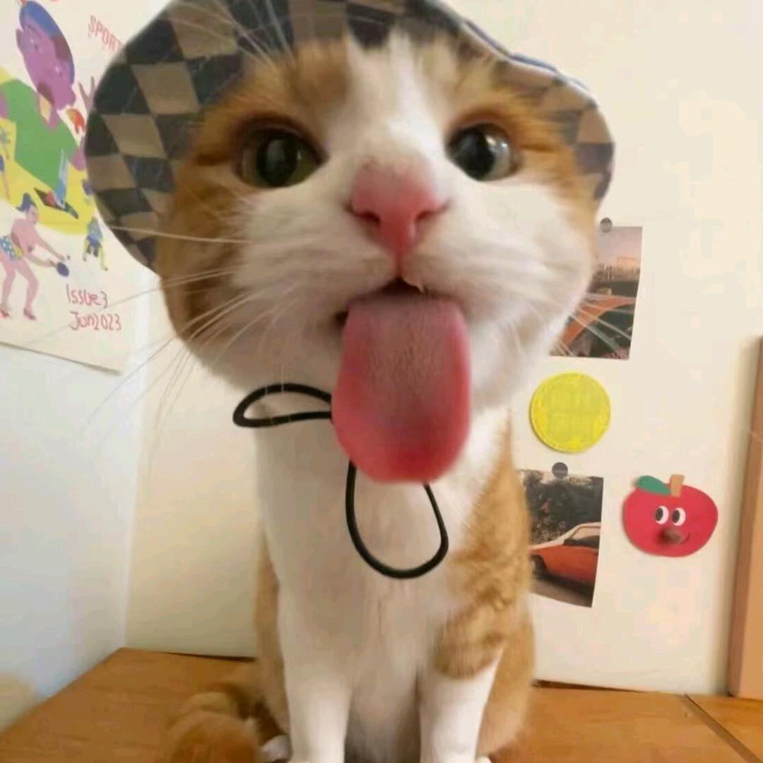会说八嘎的压鹿