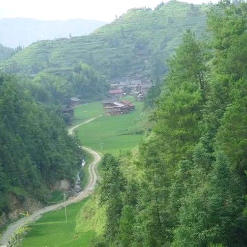 生活实录小哥🎤