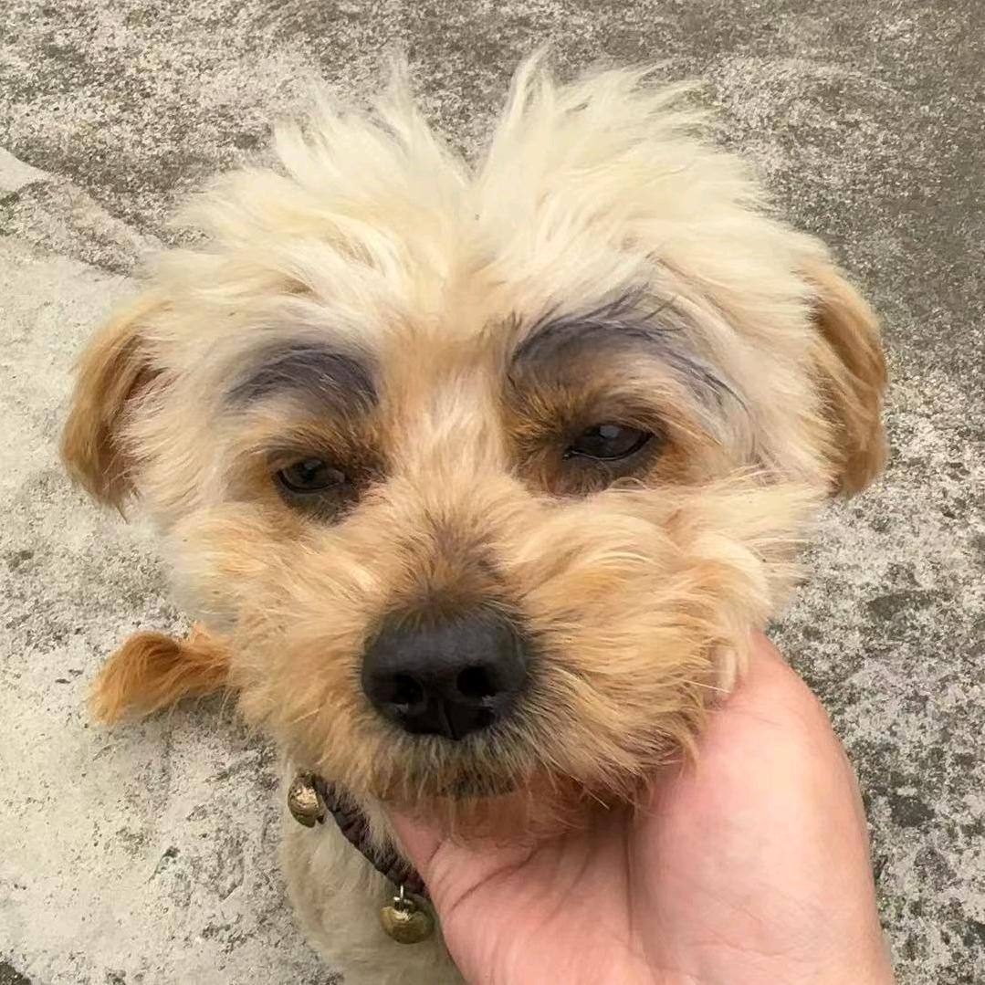 锅锅就锅锅