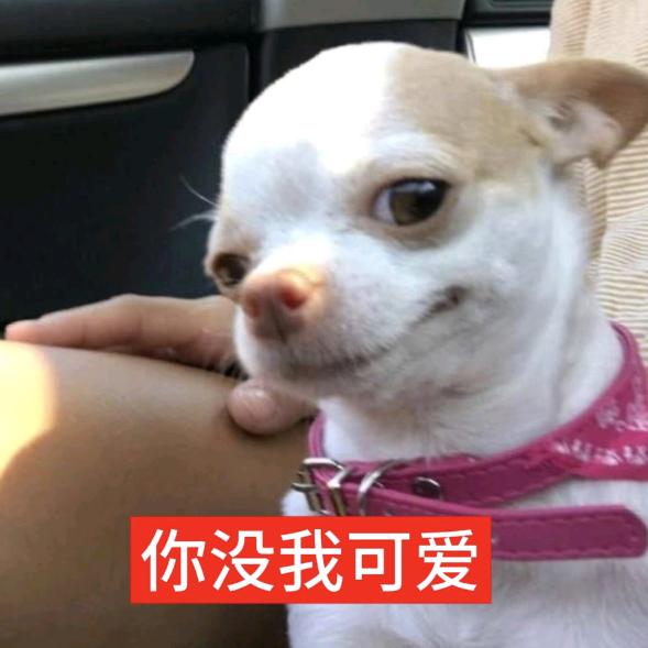 FANGJIE