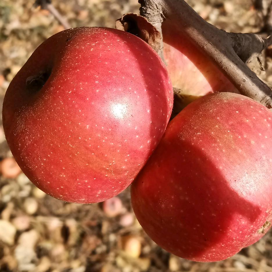 💕᭄ꦿ很幸运ོ࿆遇见你᭄?