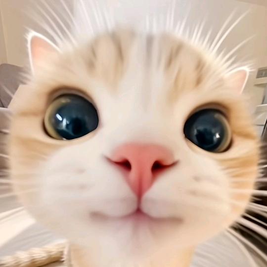 🌈她爱吃芒果🥭🥭