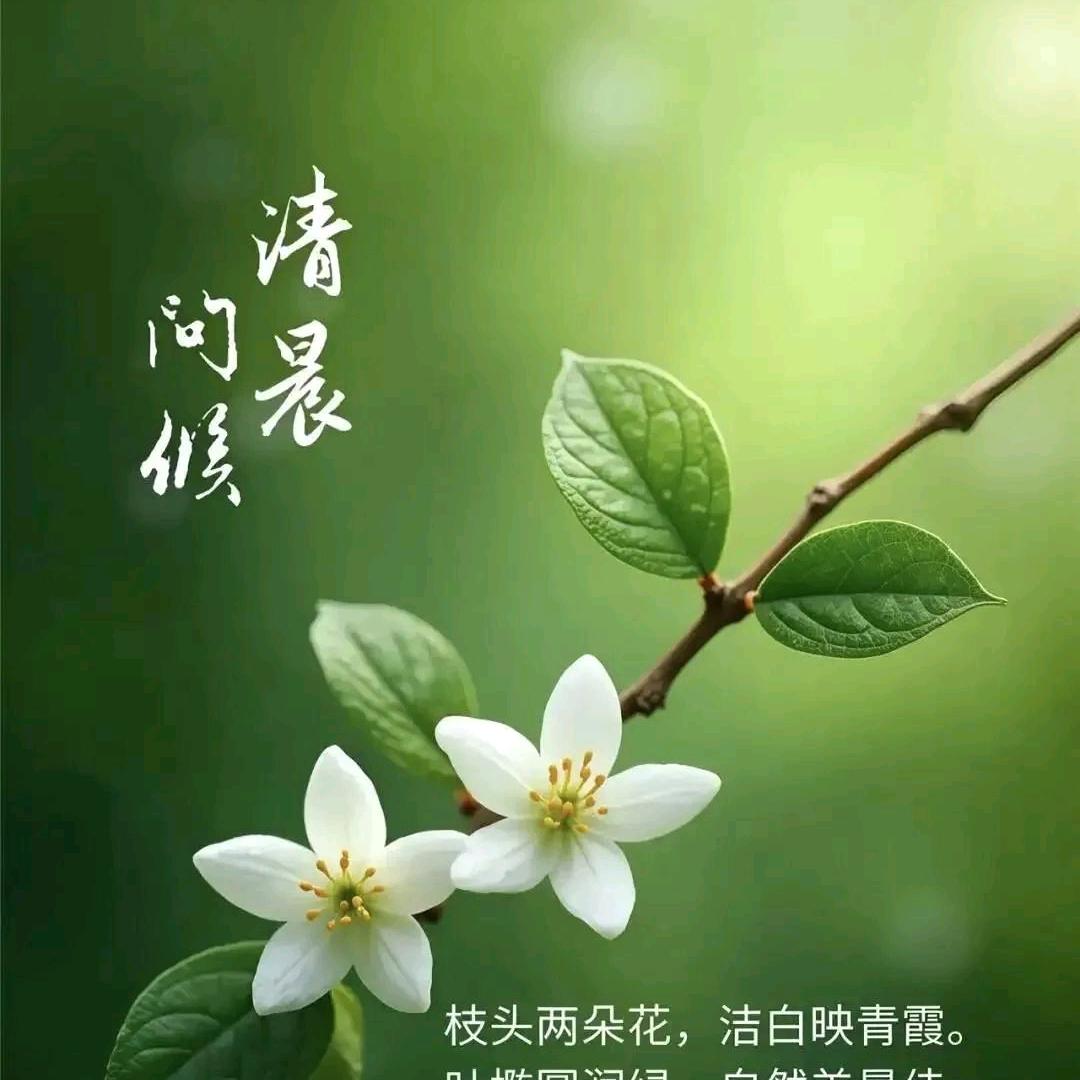 傍晚的彩虹108