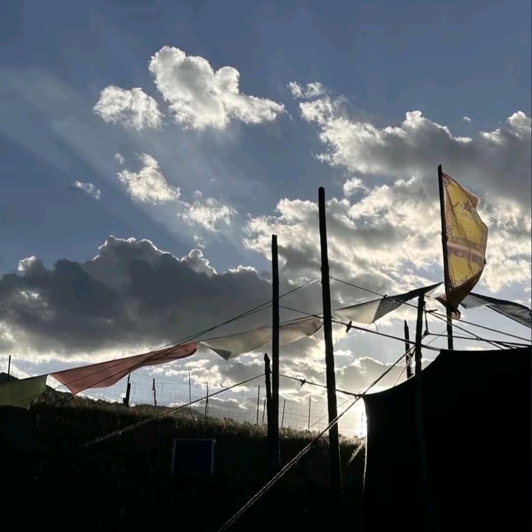 ♞嘎玛~顿珠 📸