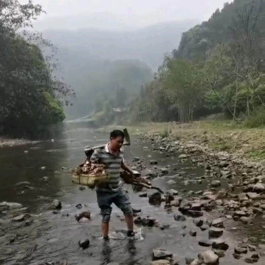 鲜美果园