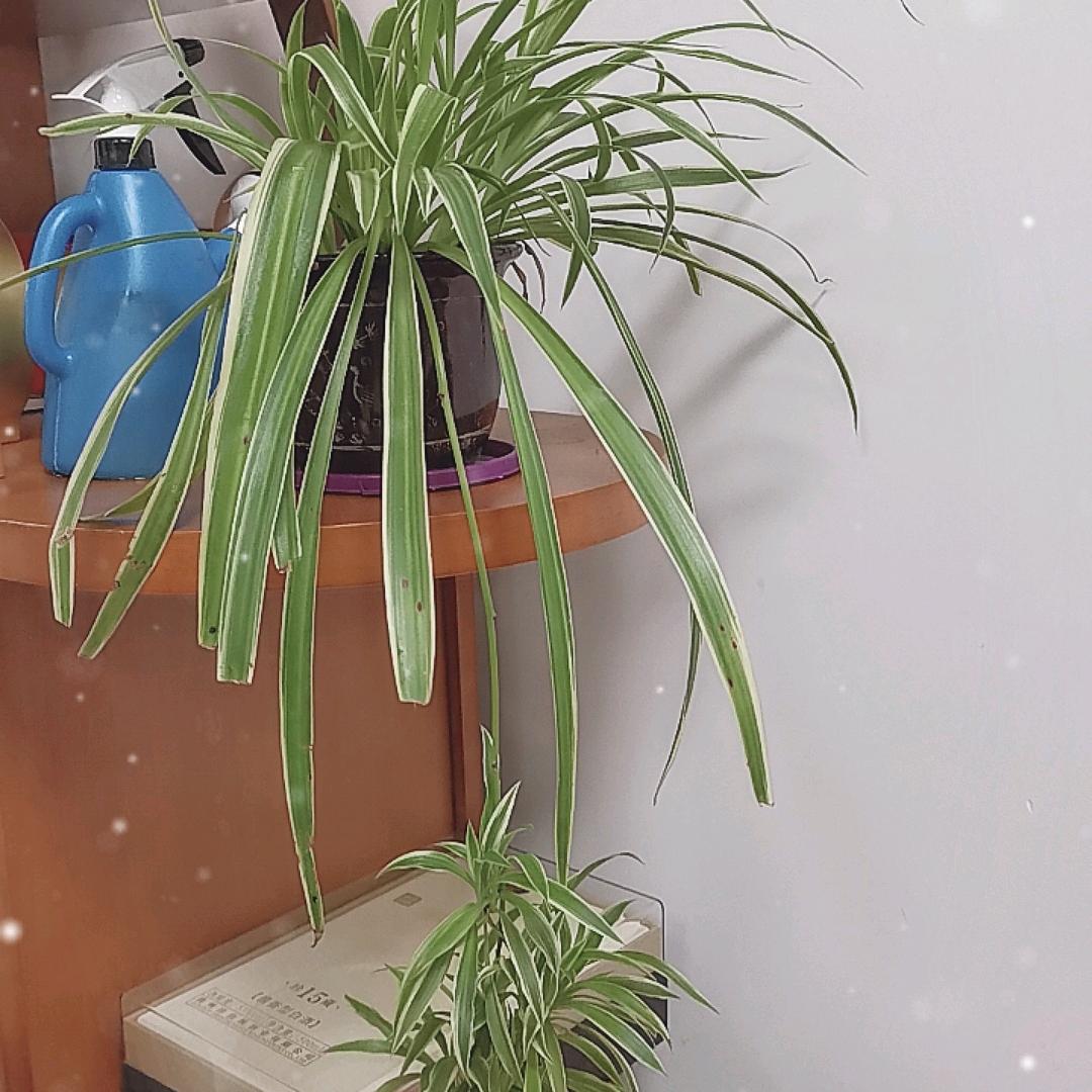 剧情再美终究是戏