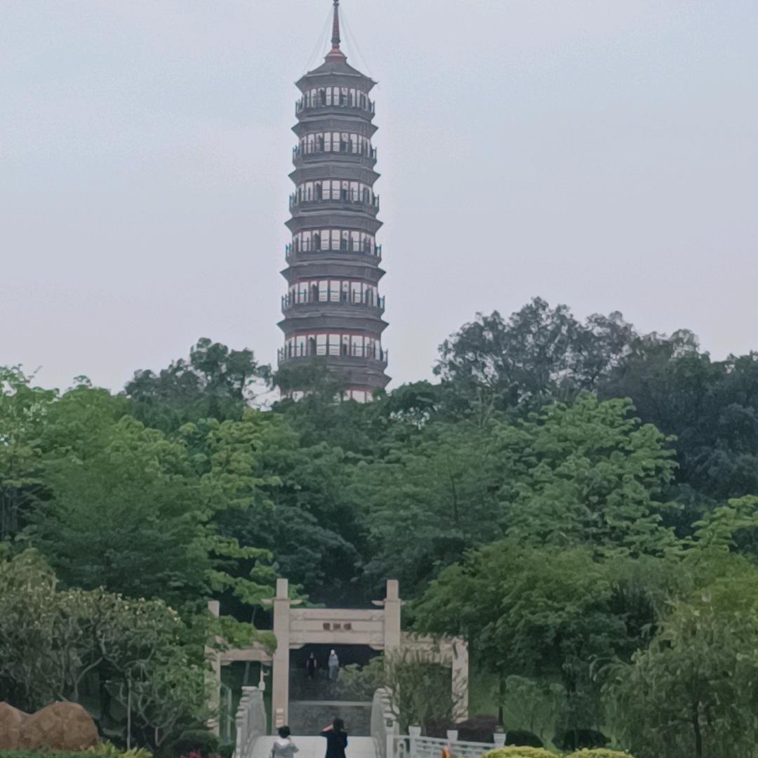 豫见你好