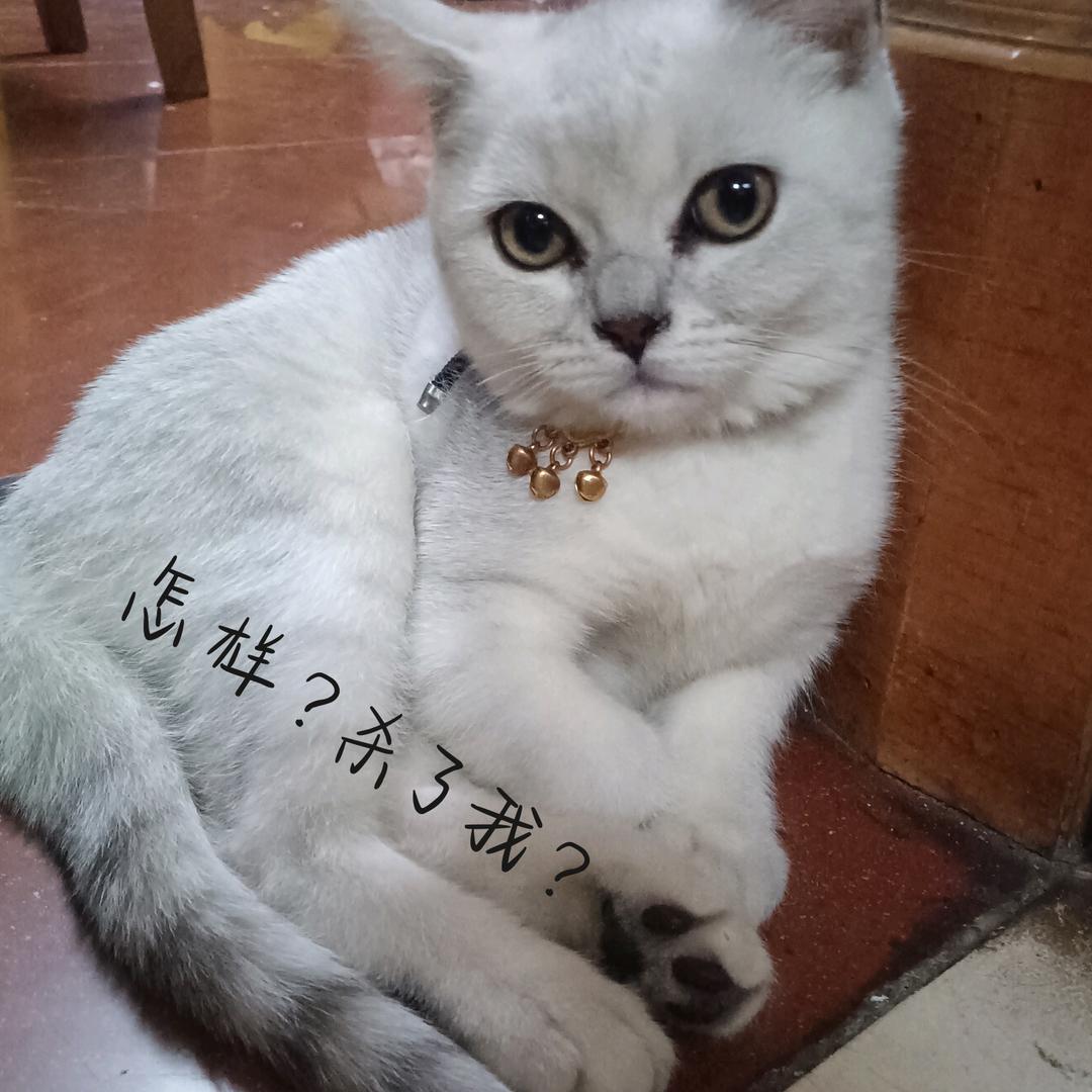咕噜超绝屁股肌肉线条