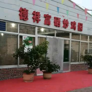 德祥富硒炒鸡园（小号）