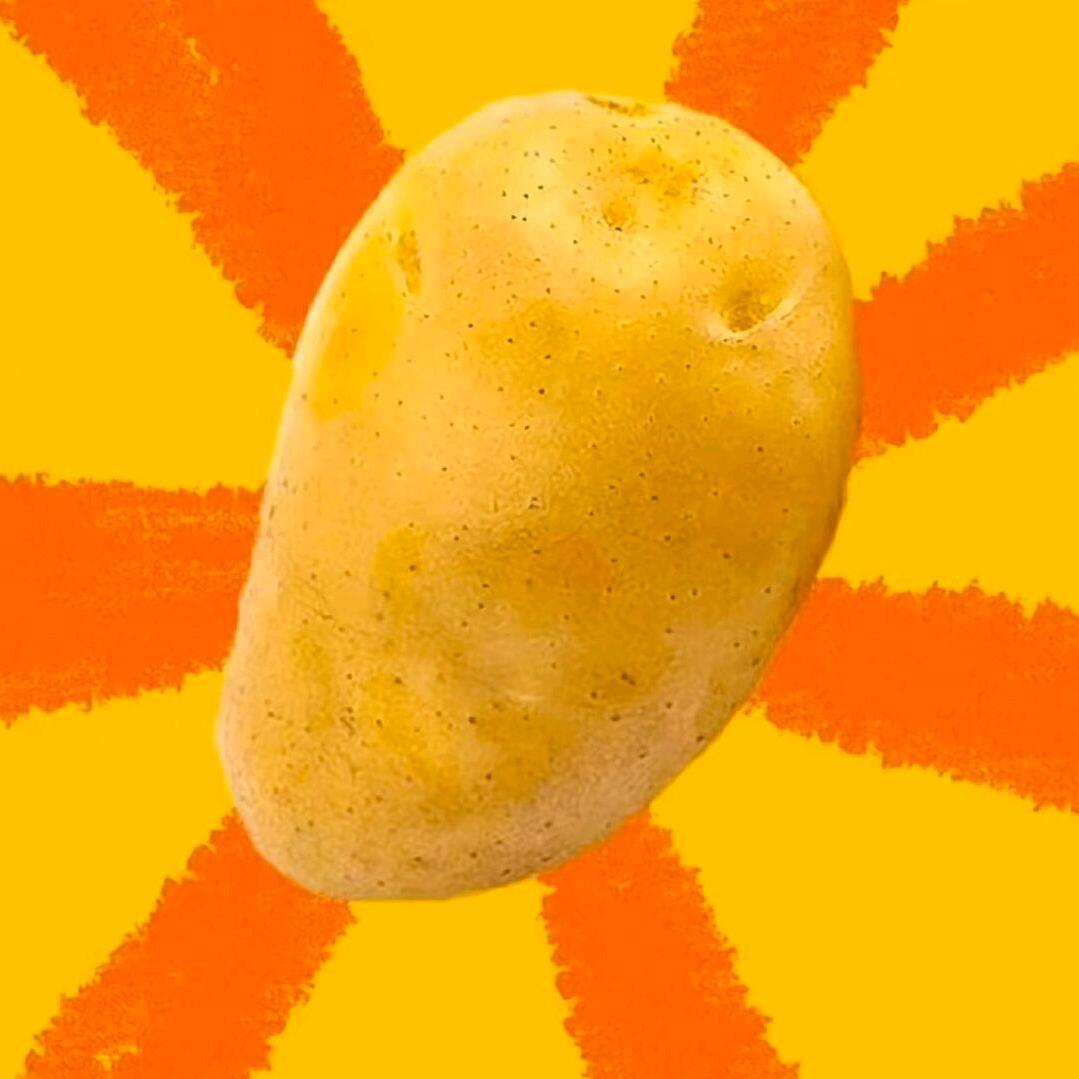 要像一颗土豆一样