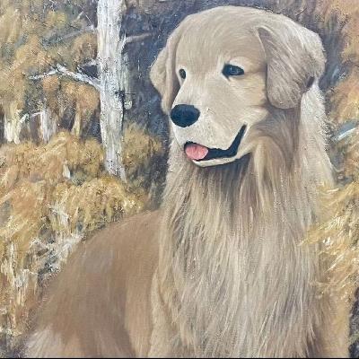 众旺星犬舍（繁殖高端金毛边牧）