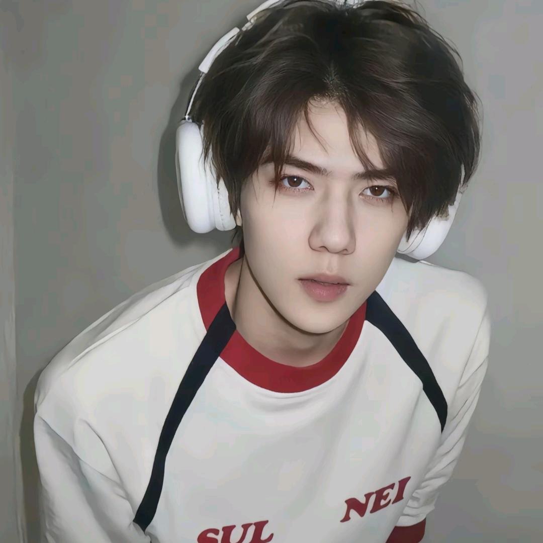 笨笨笨蛋小狗