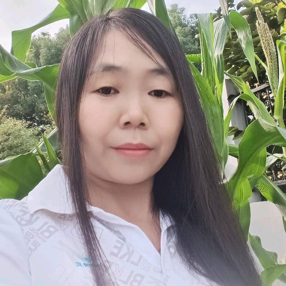礼美