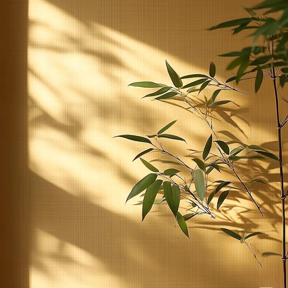 池蒽