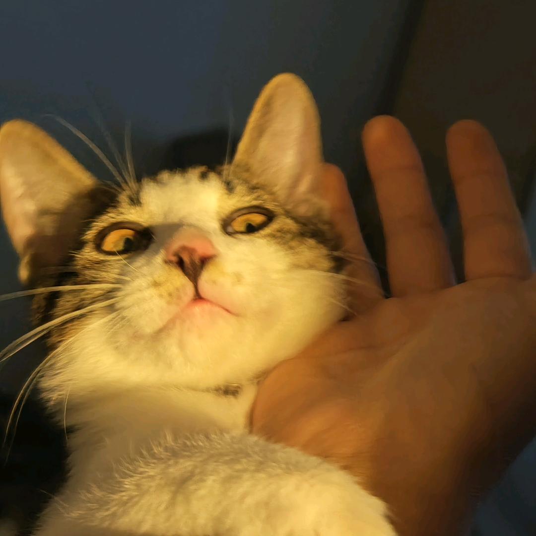问安