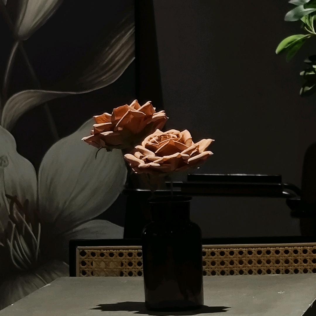 圈圈点点📚