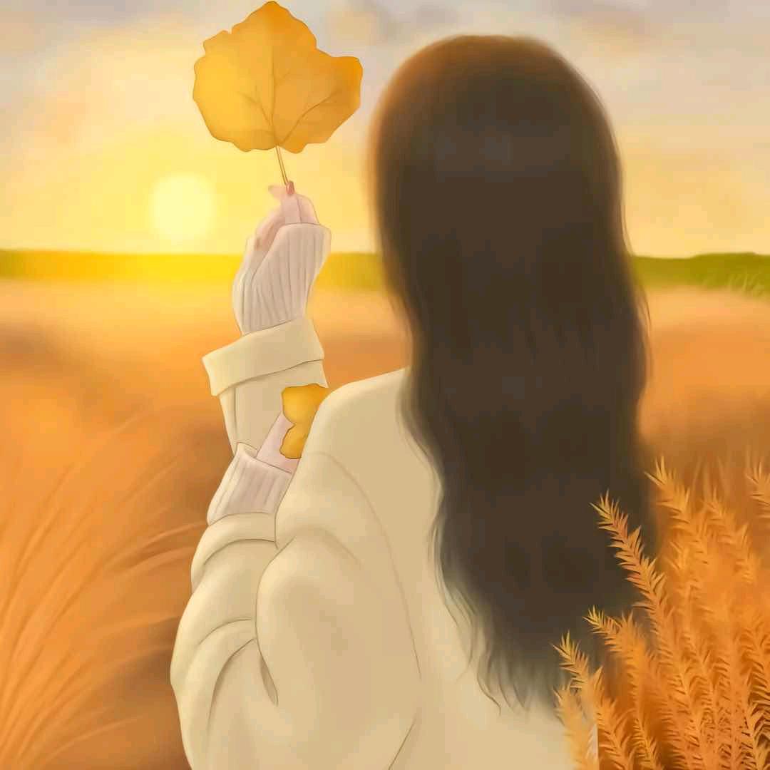 阳光🌻喵喵