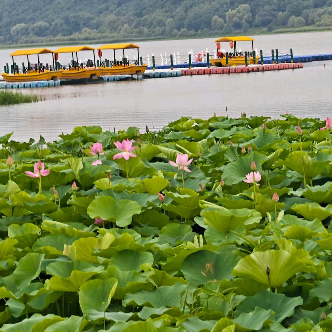 余生好好爱自己