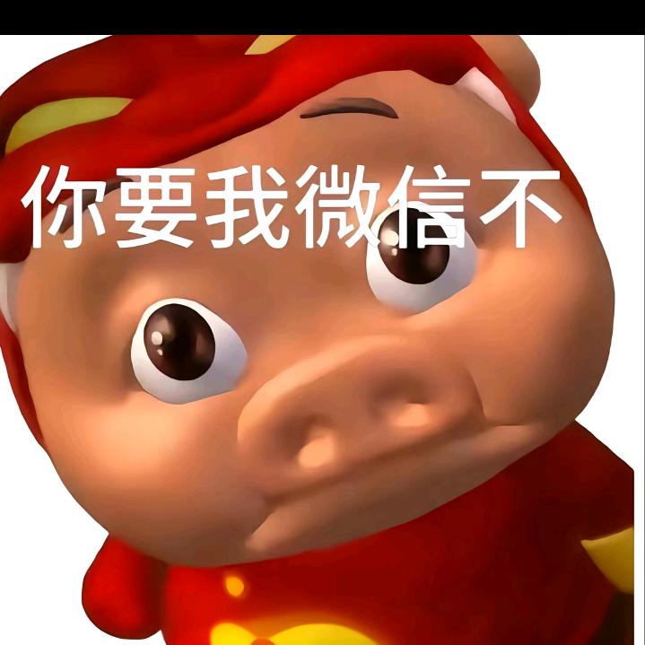 鸡翅半猫