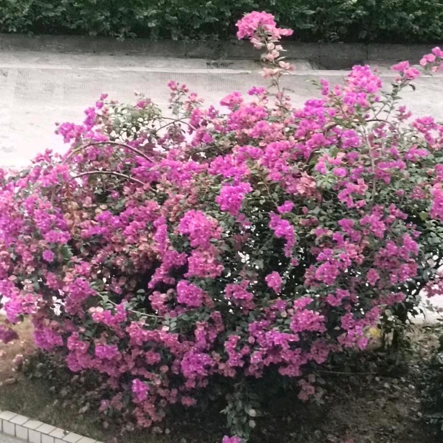 浮沉/无忆