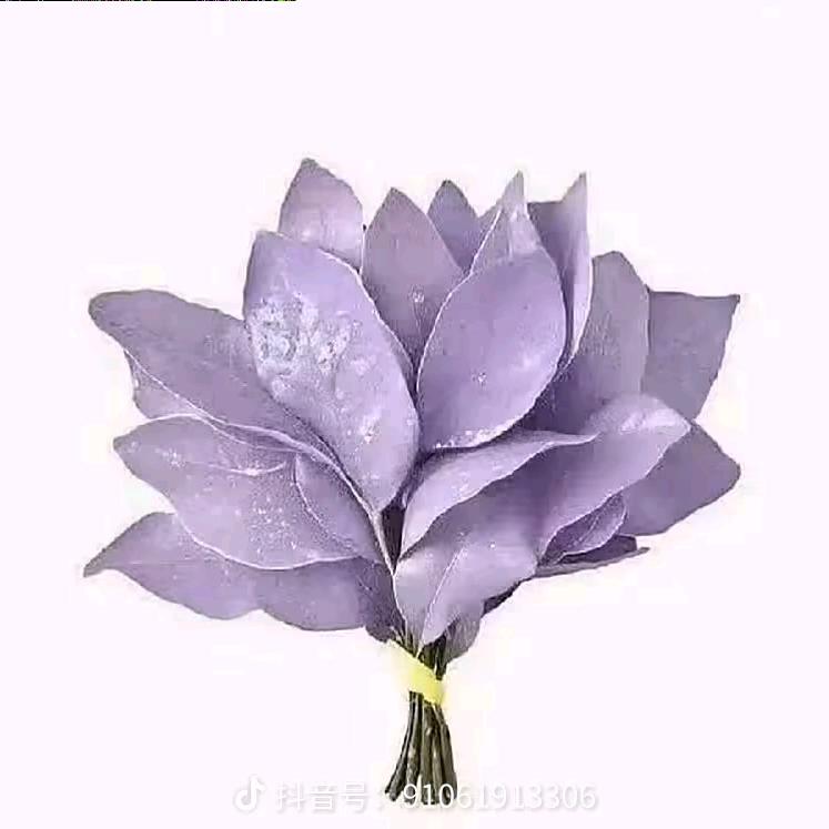 我是可可吖