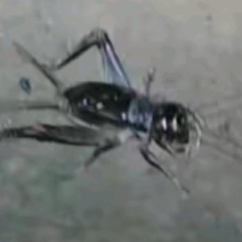 专业抹面#打地面