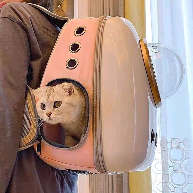 未来