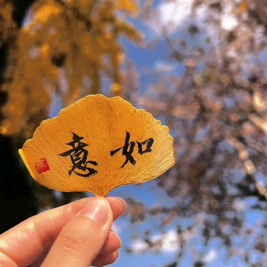 遥远的瞬间