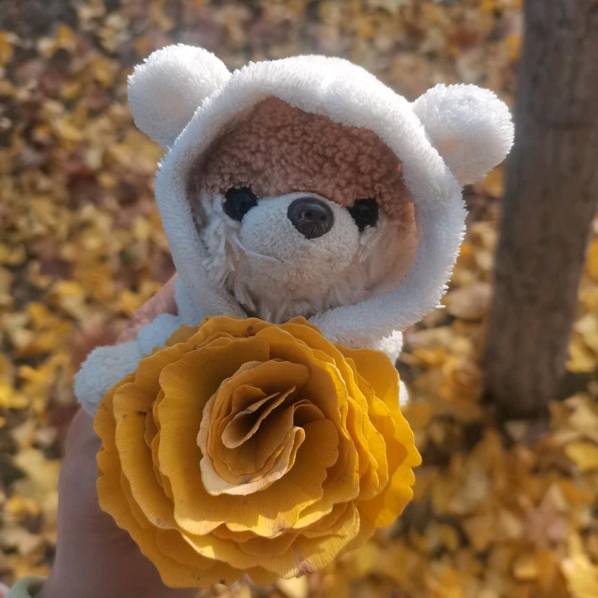 🌸冰糖心