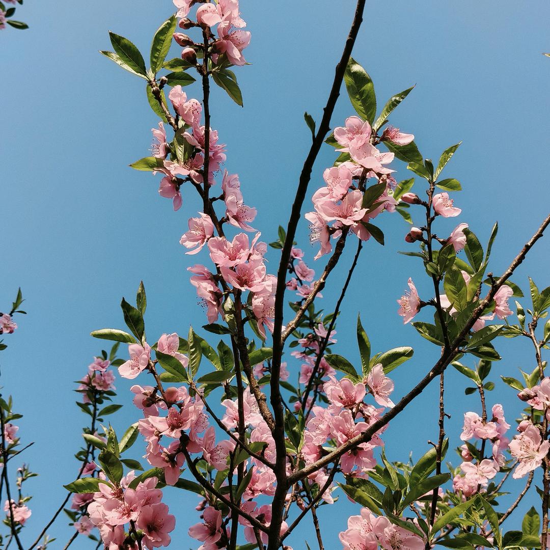💕开心快乐