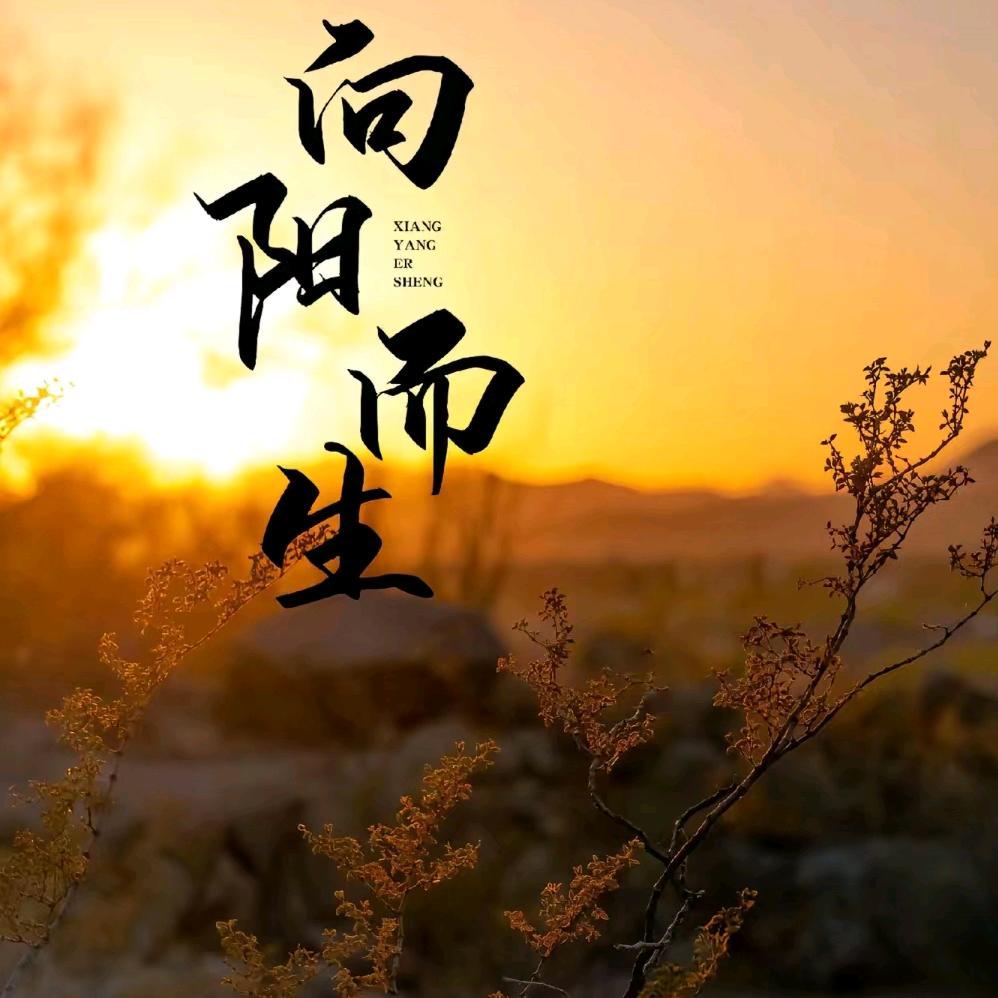 @德