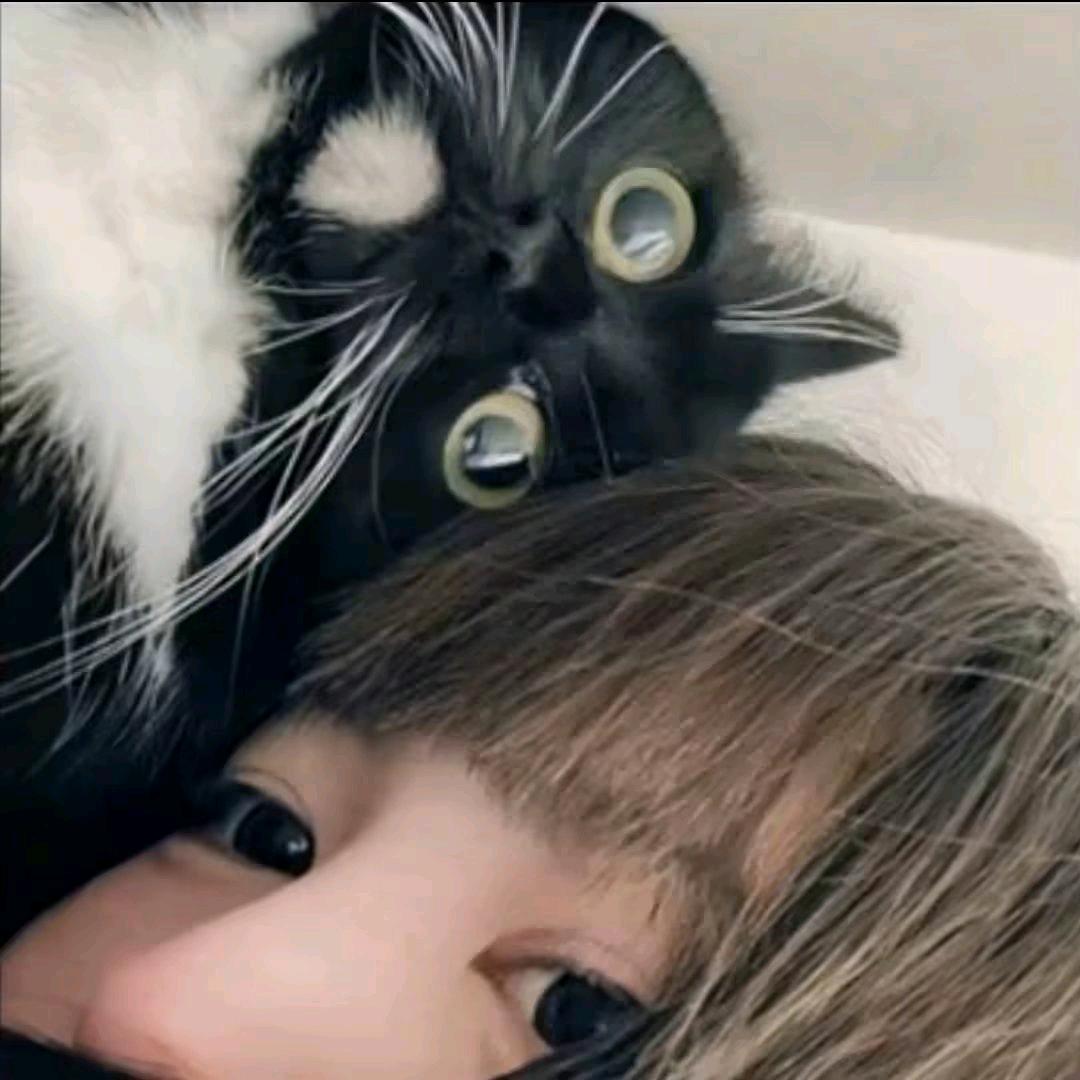 重圆