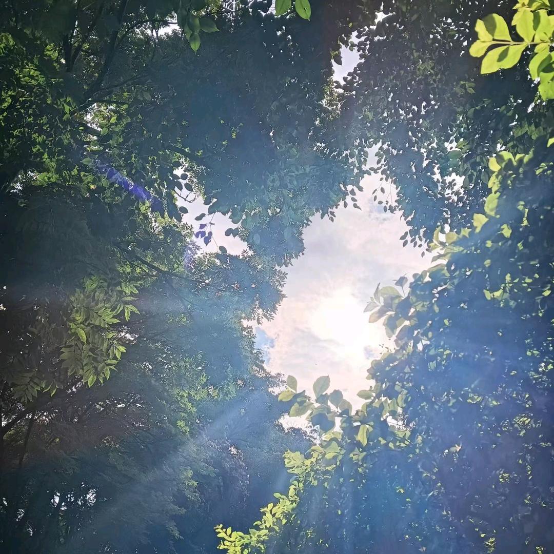 温柔只给意中人