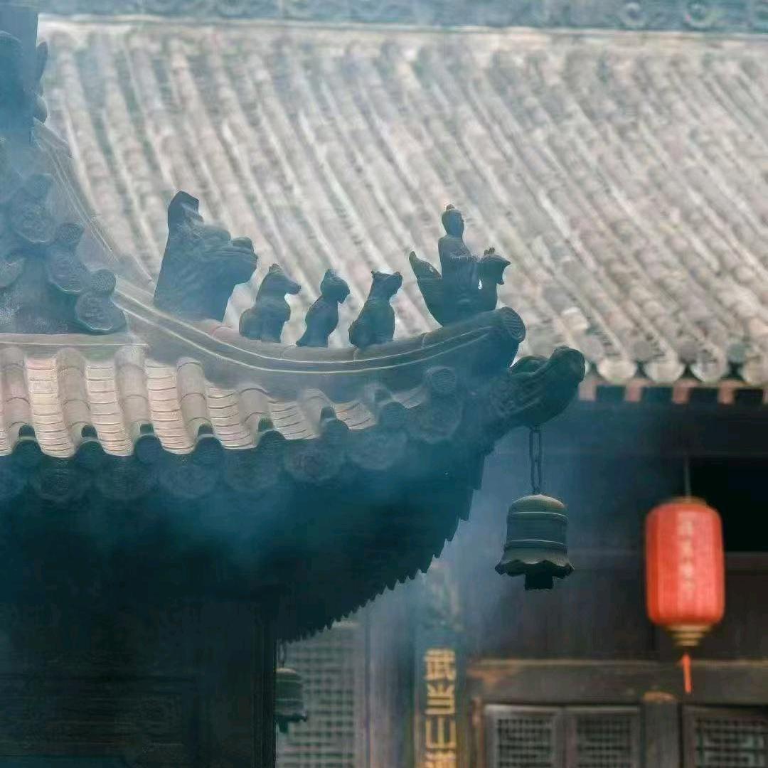 贞强优选
